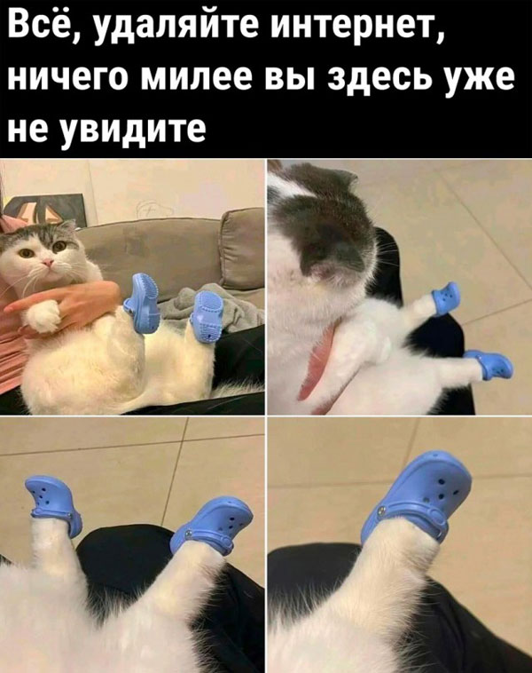 Весёлый полтишок 26.10.23