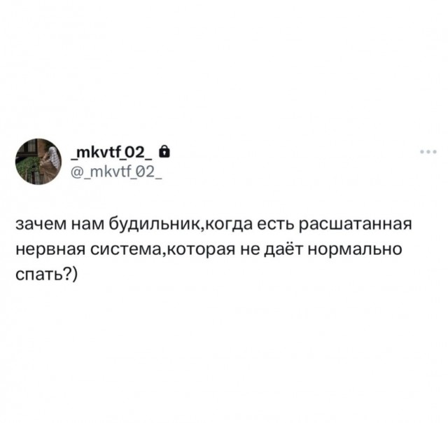 Так себе картинки 20.11.23