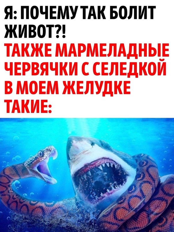 Весёлый полтишок 29.01.24