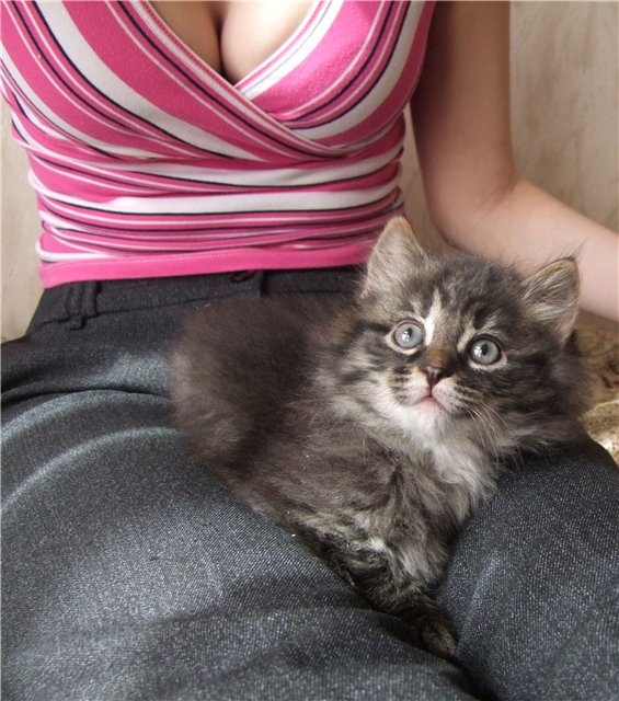Котовторник  07.05.2013