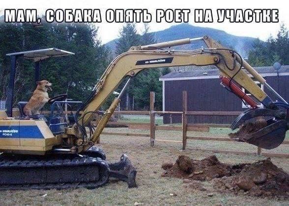 Завалялось тут случайно немного забавных картинок