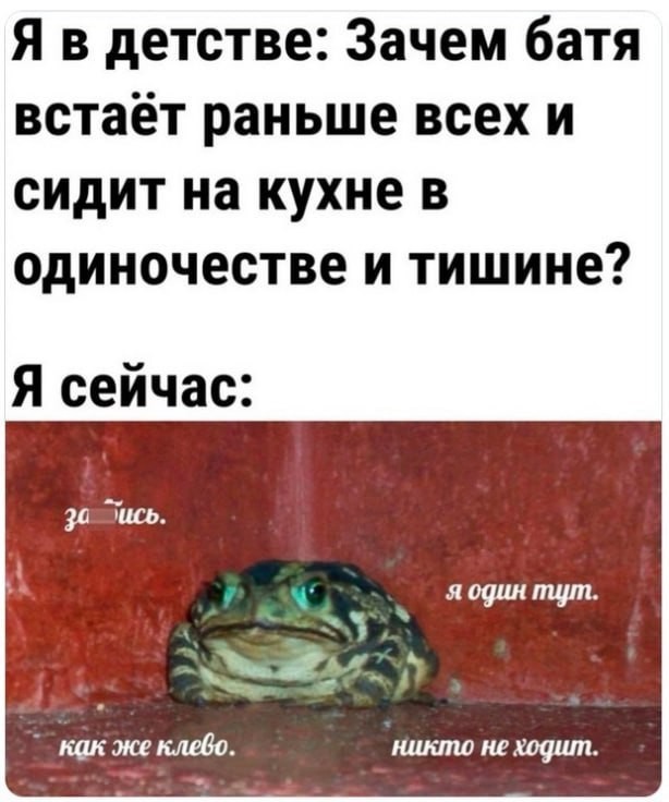 Всего понемногу. От 22.05.2024