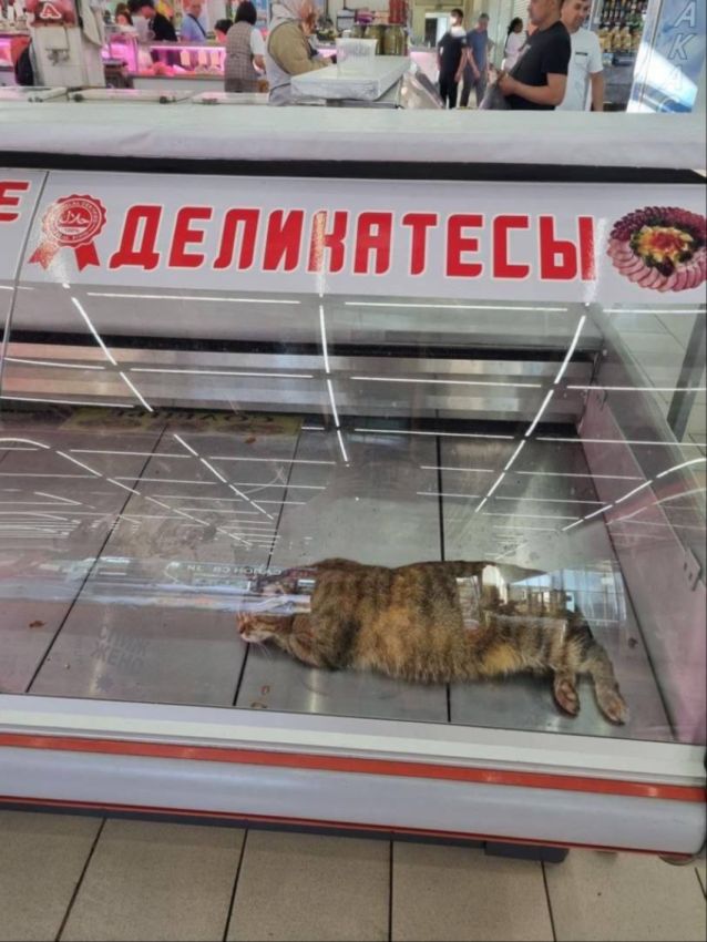 Ударим баянами по второй половине лета