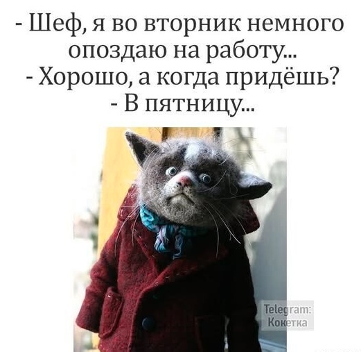 Скуфня (Бояны)