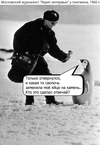 Смешал, но не взбалтывал: 02.01.25