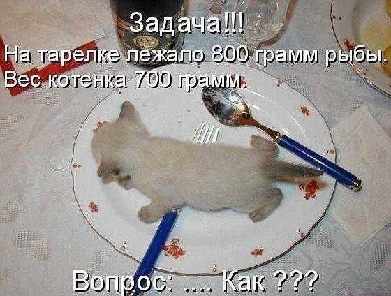 Завалялось тут случайно немного забавных картинок