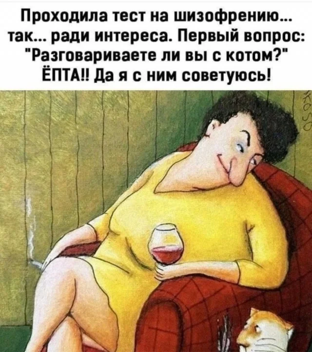 Юмор для тех, кто уже повзрослел и понял, что «личная жизнь» — это кот и плед