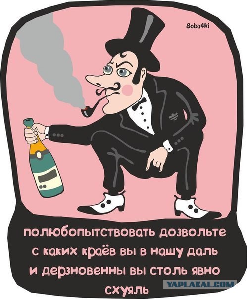 10 картинок падонгам для вечернего настроения