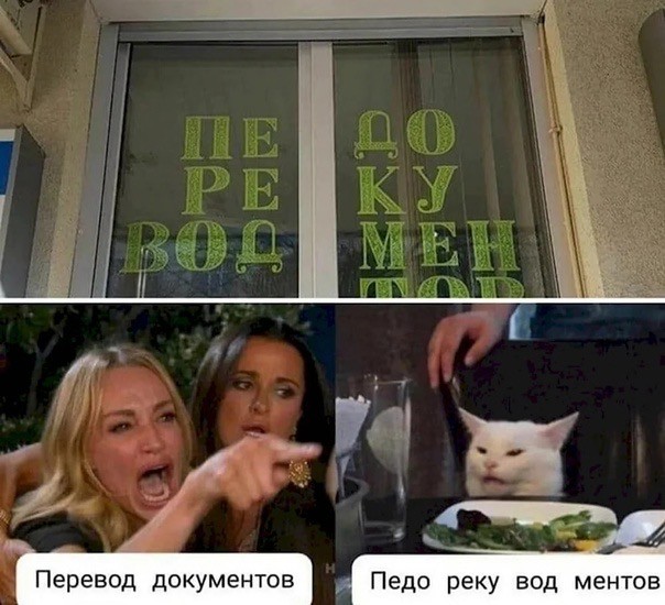 Знаменитый кот 2