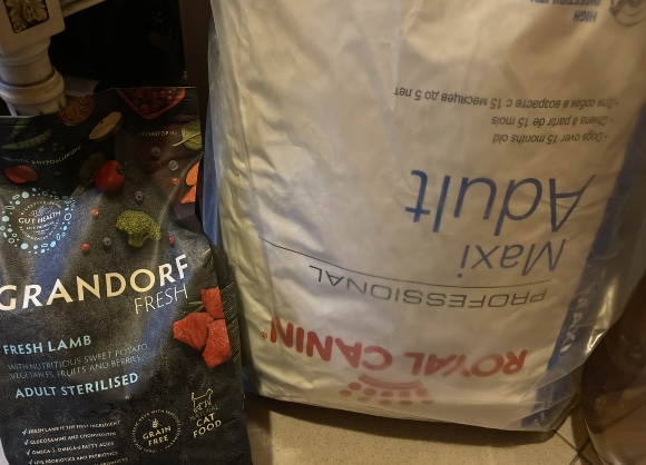 Клуб говорунов (литературный)