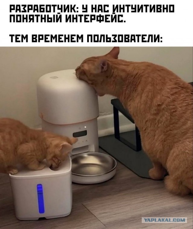 К котовторнику: подборка картинок-баянов с котиками и про котиков. Выпуск 26.