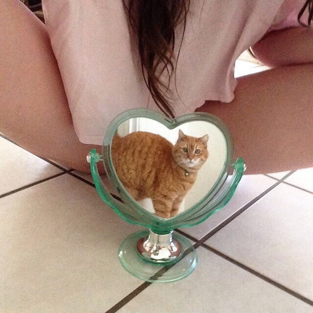 Картиночки, баянчики 01 марта