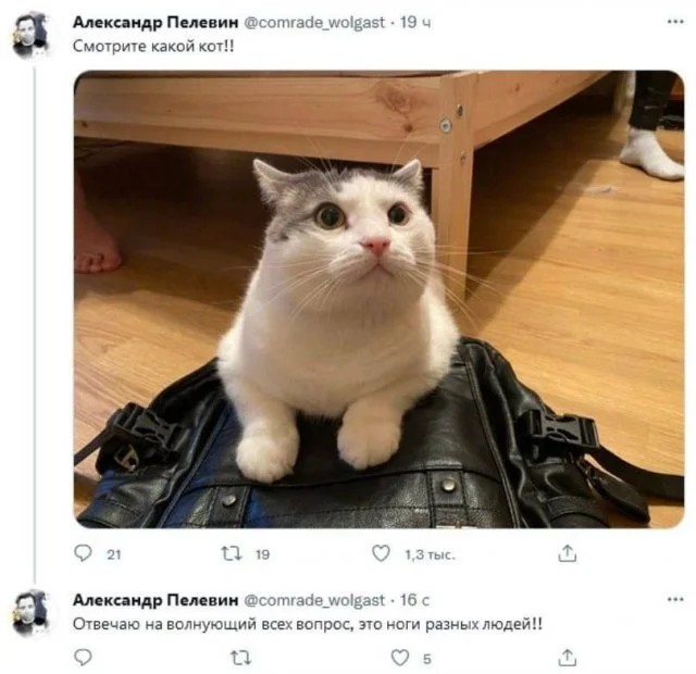 Веселые картинки в пятницу (27.03)