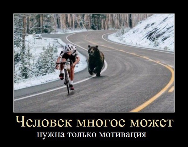 Собака вдруг стала намного больше