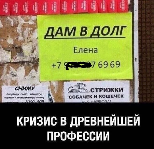 Картинки для деградации 210 (разной степени свежести)