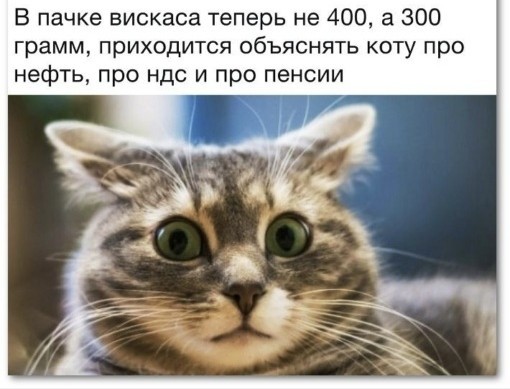 Рыжий в кабале)