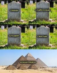 Сегодня я "усыплю" свою кошку.