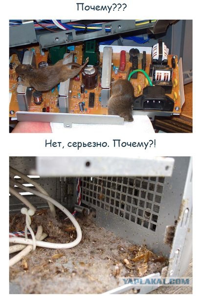 У приятеля сломался комп