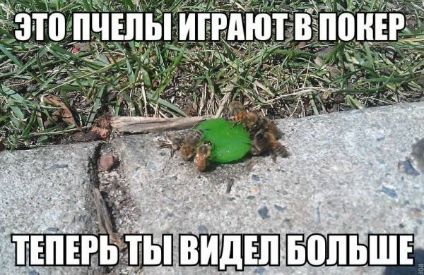 Веселые картинки