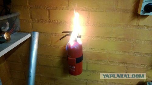 Смешные картинки из инета