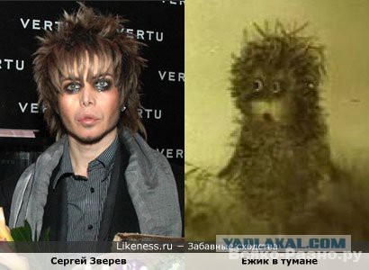 Они нашли себя