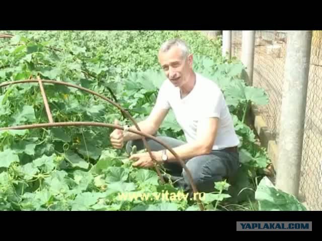 Поедете в Крым - берите мелочь!