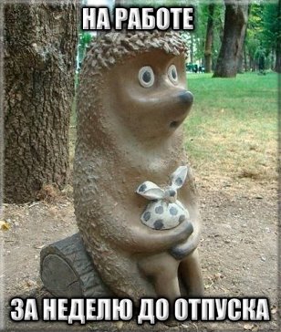 Первый день на новой работе Первый день на новой работе