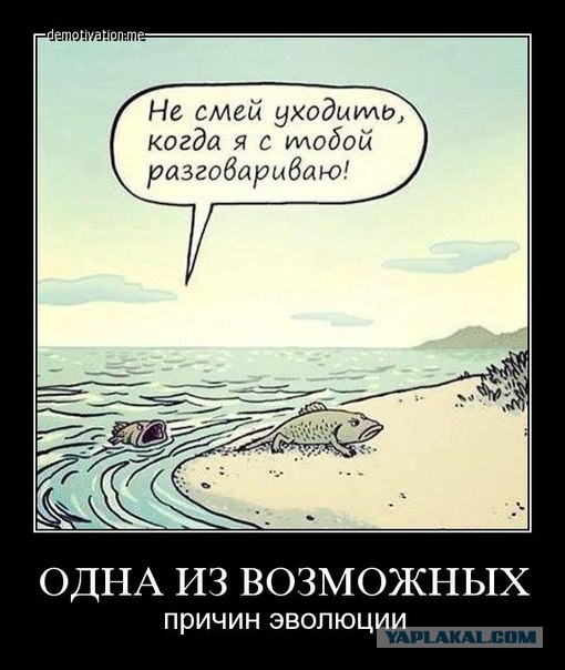 Хватит негатива на сегодня, пятница же!