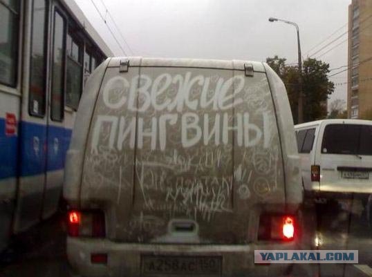 Белгородские таланты