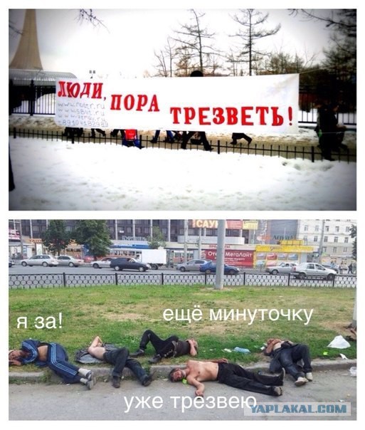 Весёлое из сети