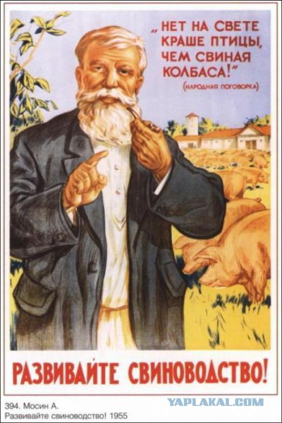 Веселые картинки
