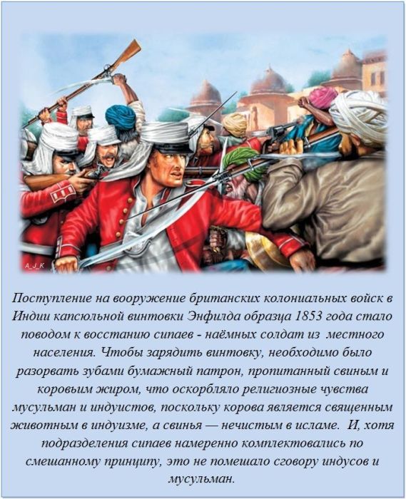 20 фактов обо всем