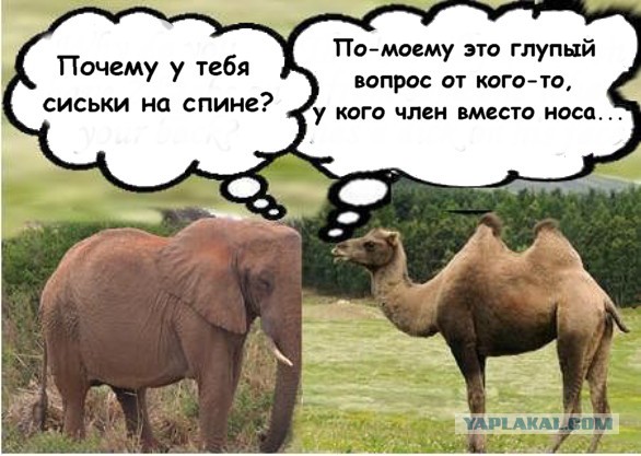 Веселое из сети