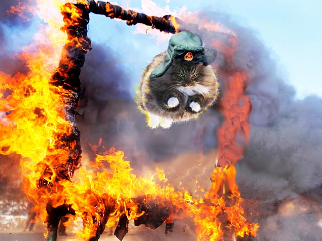 Ну очень жабельно
