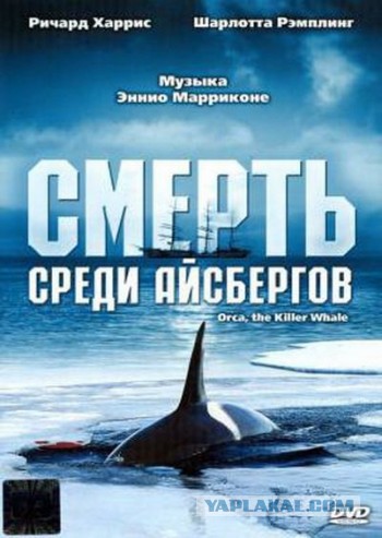 Фильмы, на которые мы в детстве бегали в кино