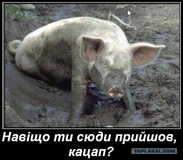 Крым. Путь на родину.