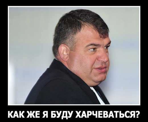 Сердюков - я устал