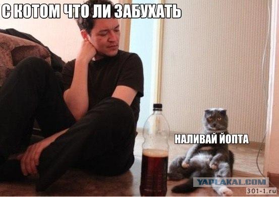 Как?!