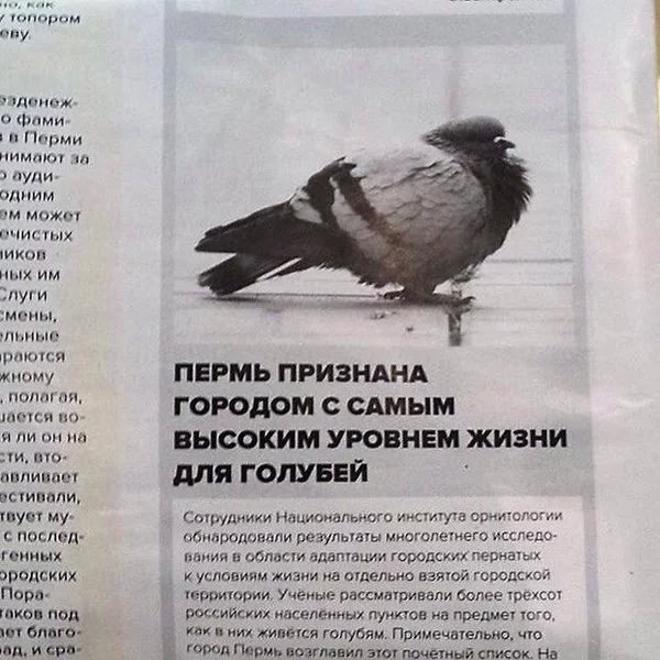 Где то в России