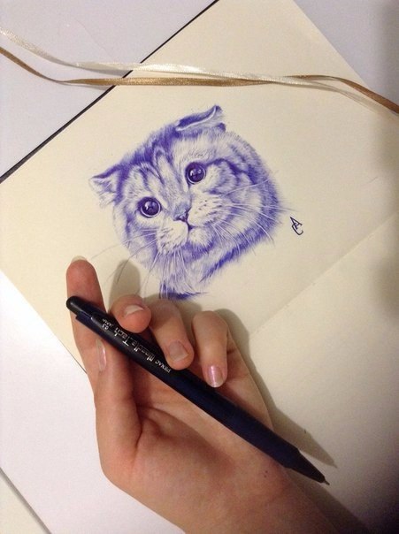 Как нарисовать кота ручкой
