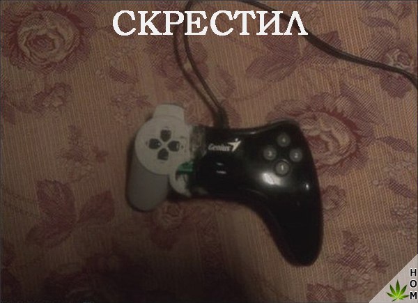 Подборка картинок 19.02.16