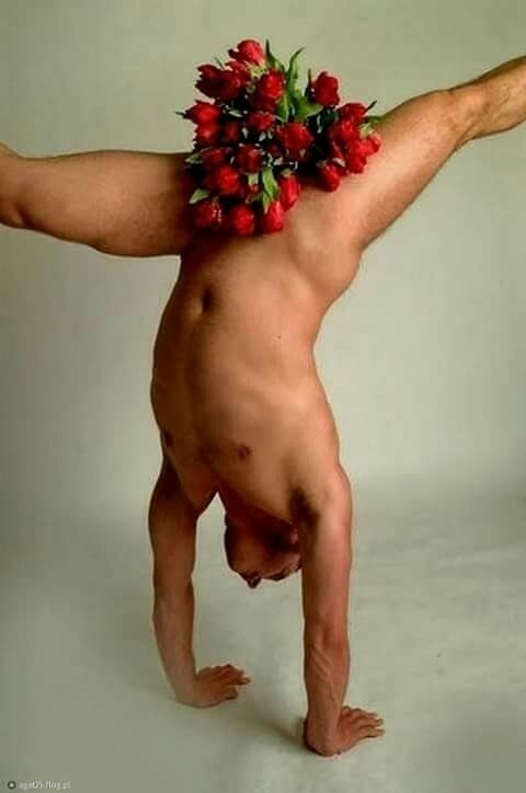 Картинки из сети