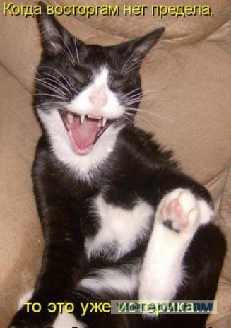 Интересные и смешные картинки!