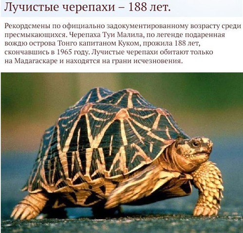 Картинки разные