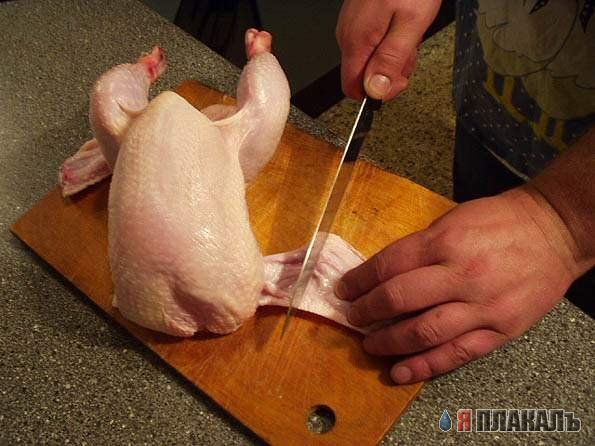 Курица и все из нее!