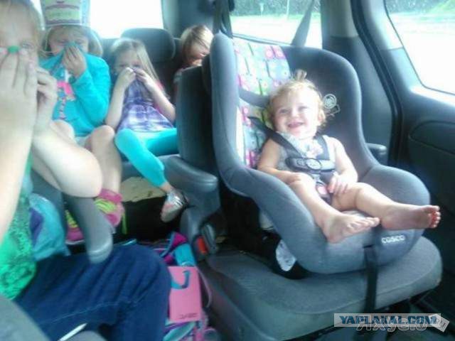 Интересные и веселые картинки