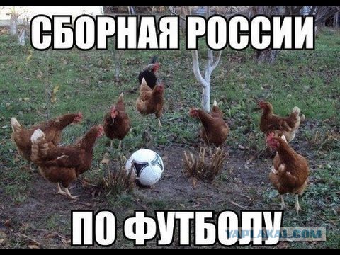 Домой!