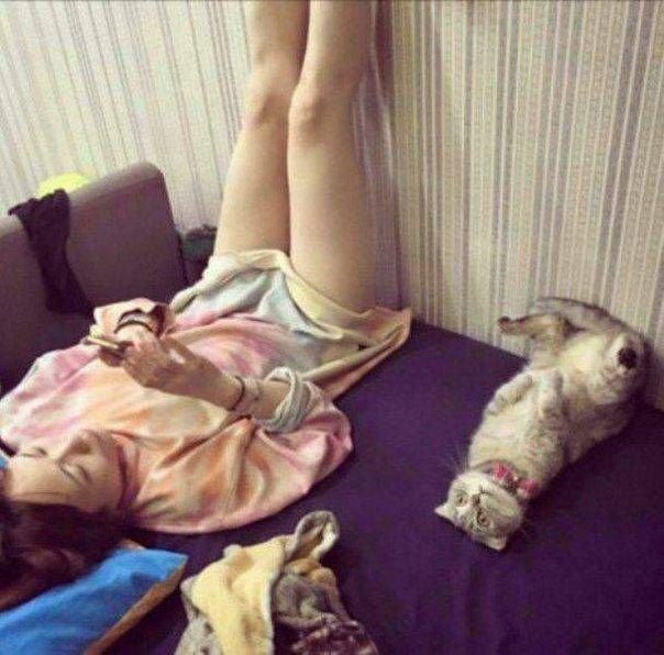 Ужасы и приколы из соцсетей 18+