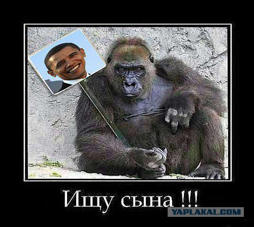 Роскомнадзор запретил демотиваторы, фотожабы и интернет-мемы