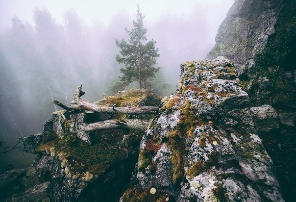 Картинки для отдыха глаз